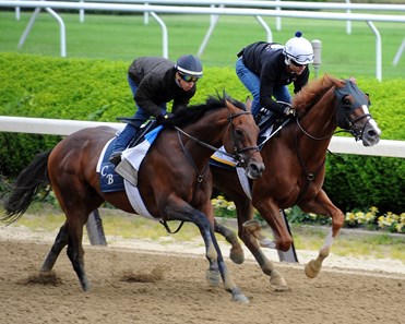 Twisted Tom (inside) and Economic Model - Belmont Park, June 3, 2017