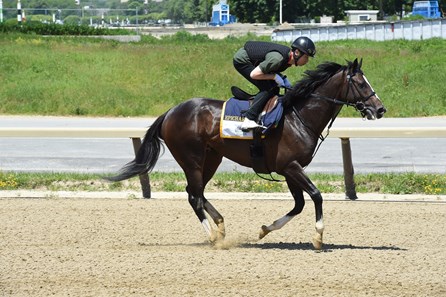 Epicharis - Belmont Park, June 3, 2017