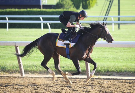 Epicharis - Belmont Park, June 4, 2017