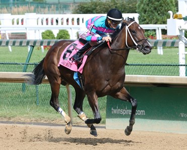Finley'sluckycharm wins the 2017 Chicago Handicap