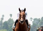 Battle of Midway soars to victory in the Affirmed Stakes