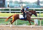 Gun Runner Solid in Final Stephen Foster Move Gun Runner Solid in Final Stephen Foster Move