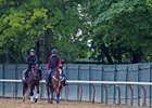 Lookin At Lee prepping for the Belmont Stakes at Belmont Park