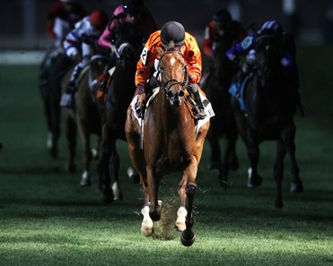Sweeping Paddy wins the 2017 Regret Stakes