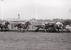Dr. Fager, under 134 pounds and on turf for the first time, guts out a victory in the 1968 United Nations Handicap