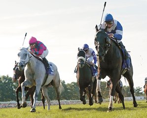 Better Talk Now to Have Pacesetter in Man o'War Better Talk Now to Have Pacesetter in Man o'War