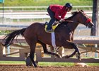 Keane Set for U.S. Debut in Precisionist Stakes Keane Set for U.S. Debut in Precisionist Stakes