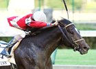 McCraken is on track for the Aug. 26 Travers Stakes
