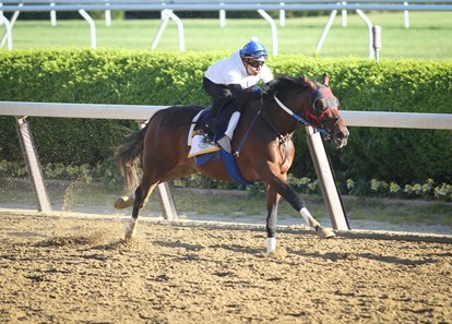 Lookin At Lee - Belmont Park - June 4, 2017