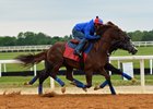 Irish War Cry (outside) works in company with Ascend at Fair Hill Training Center