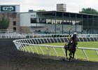 A juvenile works on the OBS track ahead of the June 2-year-olds in training sale