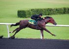 Hip 354, a Midshipman colt, breezes a quarter-mile in :20 3/5 at OBS