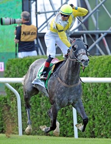Ascend wins the 2017 Manhattan (G1T)