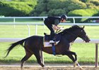 Epicharis Out of Belmont Stakes Epicharis Out of Belmont Stakes