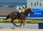 Jockey Eurico Rosa da Silva guides Pink Lloyd to victory in the Achievement Stakes