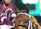 Gun Runner was the easy winner of the Stephen Foster