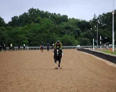 Epicharis - Belmont Park, June 6, 2017
