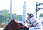 Dona Bruja gets a congratulatory pat from Declan Cannon after winning the Mint Julep Handicap