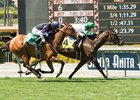 Sircat Sally Remains Undefeated With Honeymoon Win Sircat Sally Remains Undefeated With Honeymoon Win