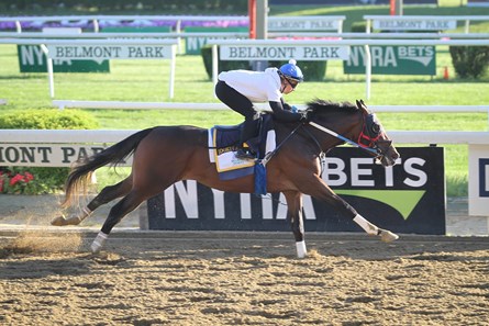 Lookin At Lee - Belmont Park - June 4, 2017