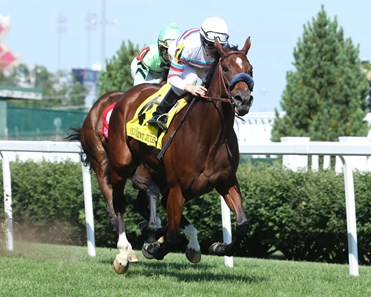 Dona Bruja wins the 2017 Mint Julep Handicap