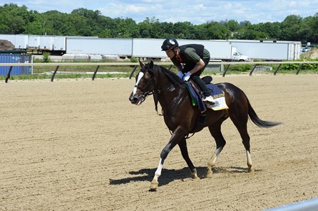 Epicharis - Belmont Park, June 3, 2017