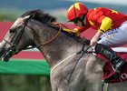 Dozen Horses Change Hands at Goffs London Sale Dozen Horses Change Hands at Goffs London Sale
