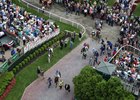 Horses in paddock ahead of the 2017 Belmont Stakes