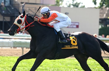Ben's Cat #6 with Julian Pimentel riding, won the $200,000 Grade III Parx Dash at Parx Racing in Bensalem PA, July 5, 2013.