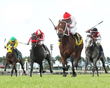 Hay Dakota wins the 2017 Mystic Lake Mile