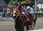 Curlin's Approval leaves the competition behind in the Princess Rooney