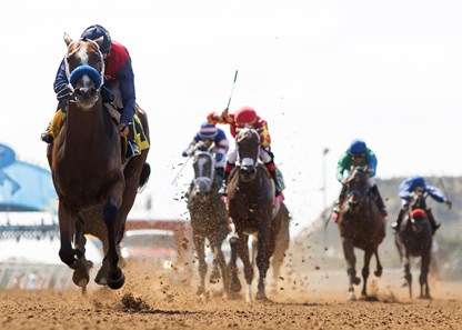 Miss Sunset wins the 2017 Fleet Treat Stakes