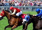 Aldous Snow (outside) overtakes Bullards Alley near the wire to win the Singspiel by a neck