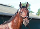 Battle of Midway at Monmouth Park