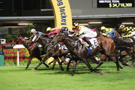 Flying Quest wins the 2017 King's Falcon Handicap