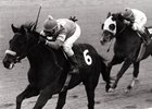 Wolfie's Rascal was a multiple graded stakes winner co-owned by Cohen early in his career