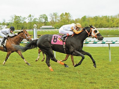 Ben’s Cat Returns a Winner in 10-Year-Old Debut