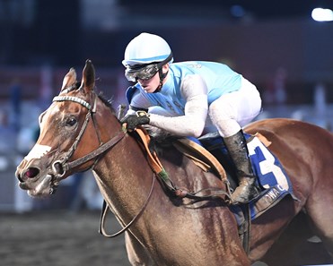 Shane's Girlfriend with Kyle Frey wins the Iowa Oaks (G3) at Prairie Meadows on July 6, 2017. July 6, 2017 in , Iowa.