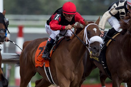 Melmich wins the 2017 Dominion Day Stakes