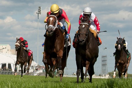 Jockey Patrick Husbands (gold cap black and red silks)guides Jennifer Lynnette to victory in the $125,000 dollar Royal North Stakes at Woodbine