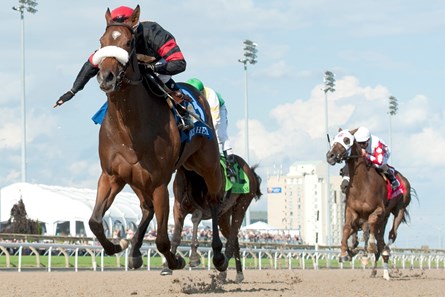 Jockey Luis Contreras guides Holy Helena to victory in the Queen's Plate Stakes