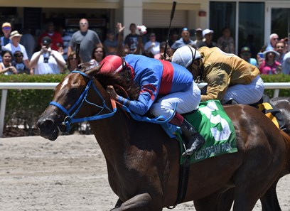 Rose to Fame wins the 2017 Brave Raj Stakes