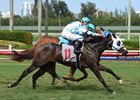 Raison Tiz gets a head in front at the wire on the Gulfstream Park turf