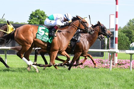 Guilty Twelve; Christopher DeCarlo; Robert G Dick Memorial Stakes; G3T; Delaware Park; July 8 2017