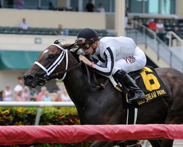 Adorable Miss wins the 2017 Martha Washington