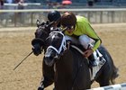 Pure Silver Goes Gate-to-Wire in Lynbrook Pure Silver Goes Gate-to-Wire in Lynbrook
