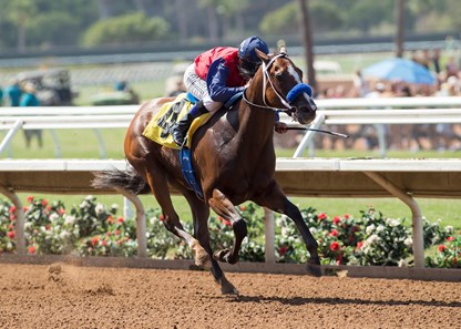 Miss Sunset wins the 2017 Fleet Treat Stakes