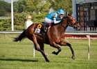 Ghost Hunter winning The Arlington Handicap at Arlington International July 8th 2017, jockey Edwin Gonzalez up