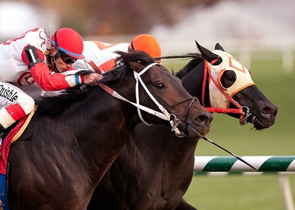 Ben’s Cat (on the rail) ridden by Julian Pimentel wins the $50,000 Find Handicap for older horses on the turf at Laurel Park on Saturday, Oct. 30, 2010.