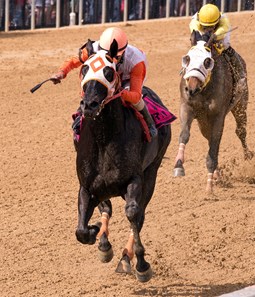 Ben’s Cat Wins His Third Jim McKay Turf Sprint BALTIMORE – 5-16-14